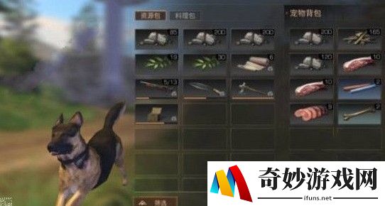 明日之后风雨同舟玩法介绍 风雨同舟怎么玩