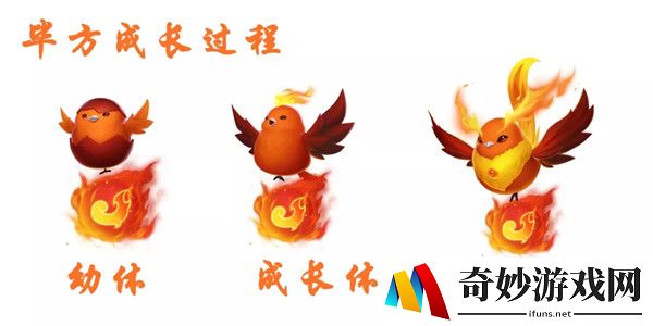 QQ飞车手游毕方好用吗 宠物毕方介绍
