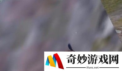 和平精英隐身岩石在哪
