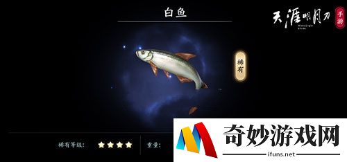 天涯明月刀手游白鱼怎么钓 白鱼在哪钓