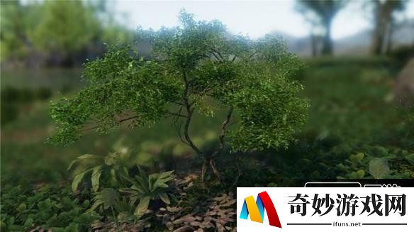游侠网