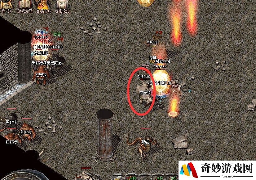 梦幻手游传闻频道