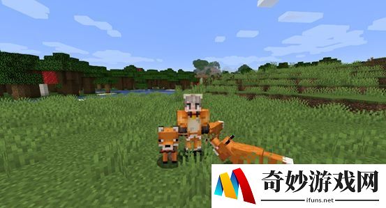 游侠网