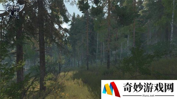 游侠网7