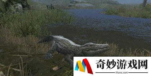 明日之后茅斯沼泽BOSS通关攻略