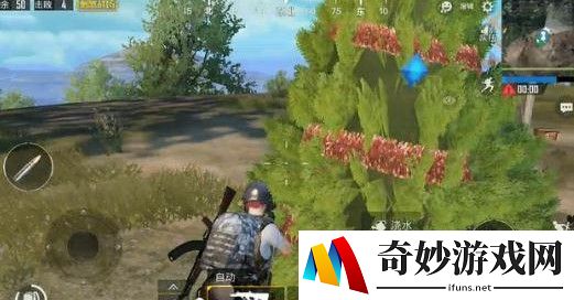 刺激战场小树苗在哪？网红圣诞小树苗位置介绍